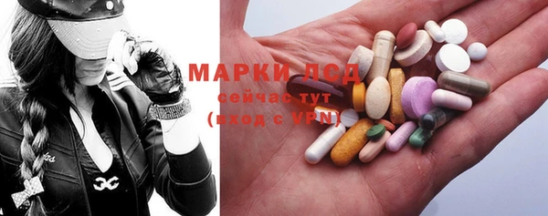 ECSTASY Алзамай