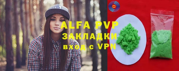 гашик Алексин