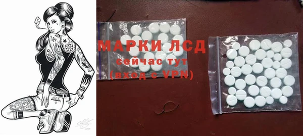 гашик Алексин