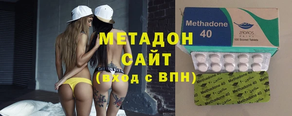 гашик Алексин