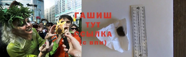 гашик Алексин