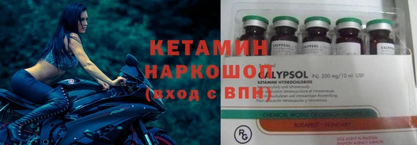 гашик Алексин