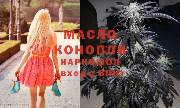 гашик Алексин