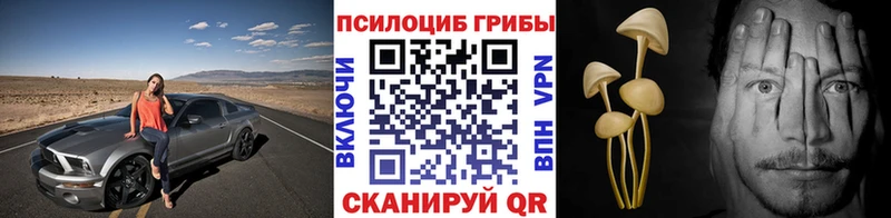 Галлюциногенные грибы мухоморы  наркошоп  Махачкала 