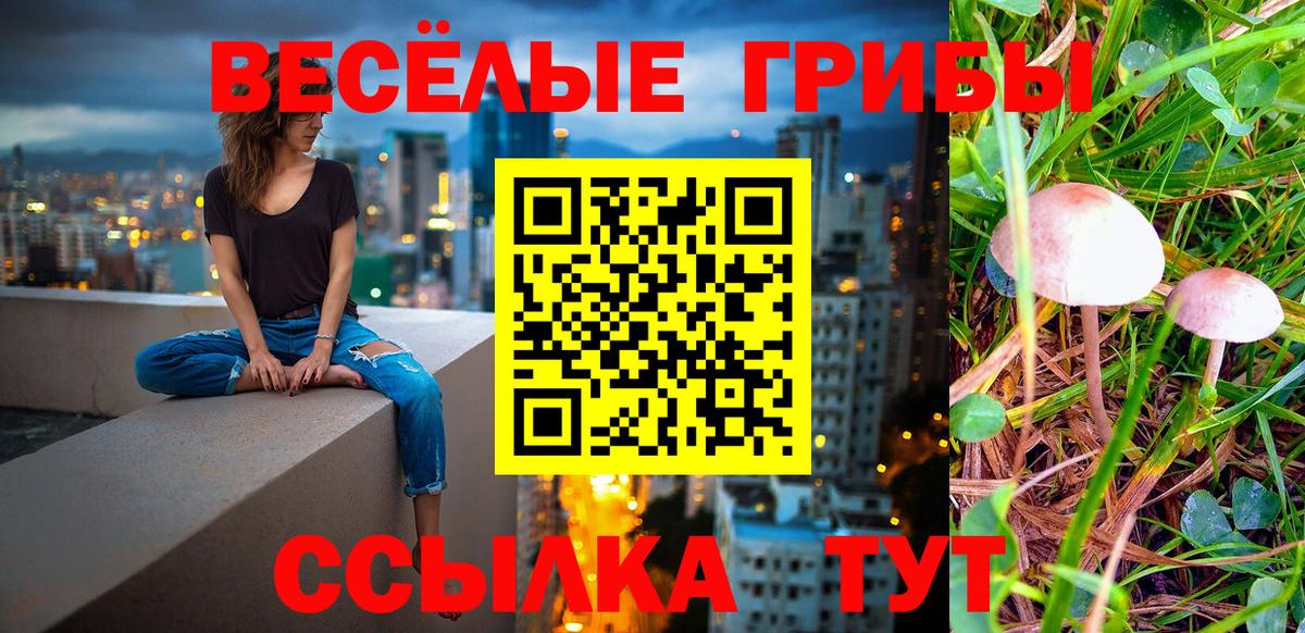 Псилоцибиновые грибы прущие грибы Махачкала