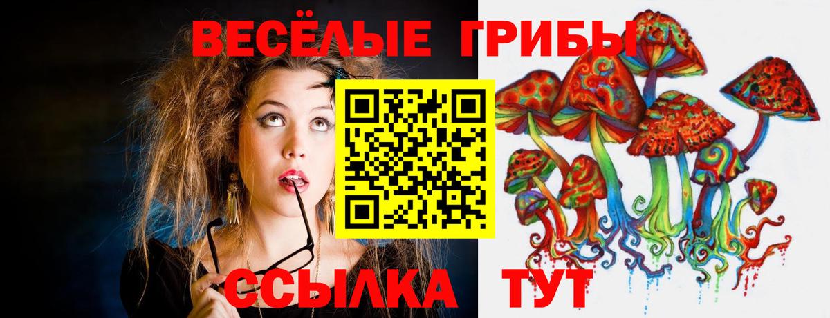 Махачкала  как найти закладки  Вход с VPN  Галлюциногенные грибы мухоморы 